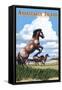 Assateague Island - Wild Horses-Lantern Press-Framed Stretched Canvas