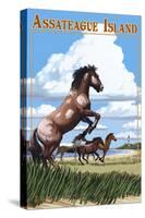 Assateague Island - Wild Horses-Lantern Press-Stretched Canvas