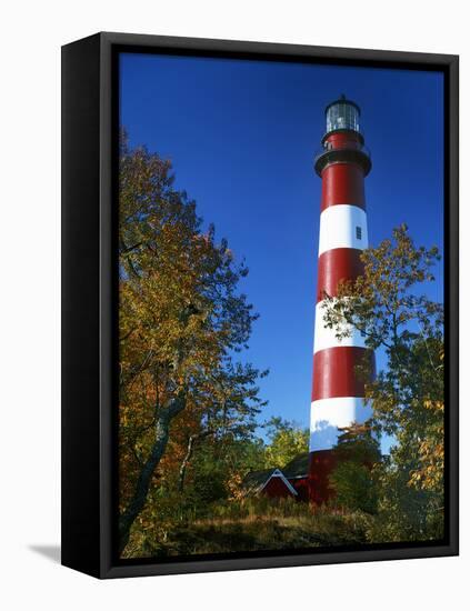 Assateague Lighthouse, Assateague Island, Virginia, USA-Charles Gurche-Framed Stretched Canvas