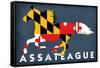 Assateague, Maryland - Horse Flag-Lantern Press-Framed Stretched Canvas