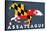 Assateague, Maryland - Horse Flag-Lantern Press-Stretched Canvas