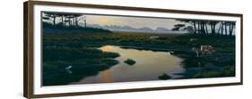 Assateague Sunset-Wilhelm Goebel-Framed Giclee Print