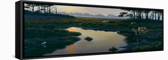 Assateague Sunset-Wilhelm Goebel-Framed Stretched Canvas