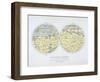 Assembled Map of the Planet Mars, from Observations Made During Six Oppositions in 1877-88-Giovanni Schiaparelli-Framed Giclee Print