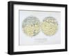 Assembled Map of the Planet Mars, from Observations Made During Six Oppositions in 1877-88-Giovanni Schiaparelli-Framed Giclee Print