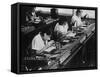 Assembly Line for Television Broadcasting Equipment at the Telefunken Manuf-German photographer-Framed Stretched Canvas