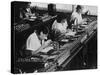 Assembly Line for Television Broadcasting Equipment at the Telefunken Manuf-German photographer-Stretched Canvas
