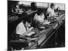 Assembly Line for Television Broadcasting Equipment at the Telefunken Manuf-German photographer-Mounted Photographic Print