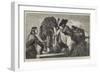 Asses Drinking-Richard Ansdell-Framed Giclee Print