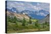 Assiniboine Provincial Park, Alberta, Canada-Howie Garber-Stretched Canvas