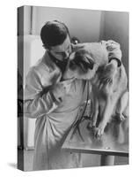 Assistant Caring For a Dog at the Humane Society-Paul Schutzer-Stretched Canvas