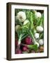 Assorted Alliums-Bjorn Svensson-Framed Photographic Print