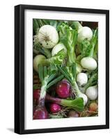 Assorted Alliums-Bjorn Svensson-Framed Photographic Print