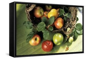 Assorted Apples in a Basket-Bodo A^ Schieren-Framed Stretched Canvas