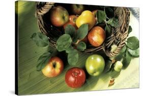 Assorted Apples in a Basket-Bodo A^ Schieren-Stretched Canvas
