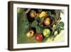 Assorted Apples in a Basket-Bodo A^ Schieren-Framed Photographic Print