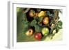 Assorted Apples in a Basket-Bodo A^ Schieren-Framed Photographic Print