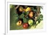 Assorted Apples in a Basket-Bodo A^ Schieren-Framed Photographic Print