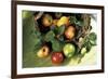 Assorted Apples in a Basket-Bodo A^ Schieren-Framed Photographic Print