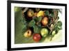 Assorted Apples in a Basket-Bodo A^ Schieren-Framed Photographic Print