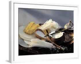 Assorted Asian Noodles and Rice-Susie M^ Eising-Framed Photographic Print