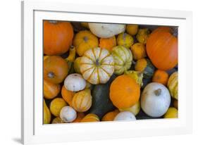 Assorted autumn vegetables, squashes and pumpkins, Derbyshire, England, United Kingdom, Europe-Frank Fell-Framed Photographic Print