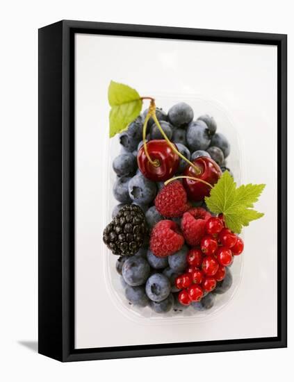 Assorted Berries and Two Cherries in Plastic Punnet-null-Framed Stretched Canvas