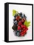 Assorted Berries and Two Cherries in Plastic Punnet-null-Framed Stretched Canvas