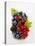 Assorted Berries and Two Cherries in Plastic Punnet-null-Stretched Canvas