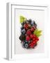 Assorted Berries and Two Cherries in Plastic Punnet-null-Framed Photographic Print