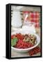 Assorted Berries in Bowl on Garden Table-Eising Studio - Food Photo and Video-Framed Stretched Canvas