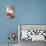 Assorted Berries in Bowl on Garden Table-Eising Studio - Food Photo and Video-Stretched Canvas displayed on a wall