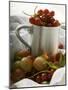 Assorted Berries, Some in Metal Cup-Foodcollection-Mounted Photographic Print