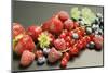 Assorted Berries with Leaves-Foodcollection-Mounted Photographic Print