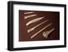 Assorted Bone Needles-Marilyn Angel Wynn-Framed Photographic Print