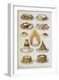 Assorted Cakes and Desserts-Isabella Beeton-Framed Giclee Print