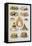 Assorted Cakes and Desserts-Isabella Beeton-Framed Stretched Canvas