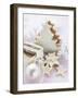 Assorted Christmas Biscuits-null-Framed Photographic Print