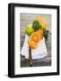 Assorted Citrus Fruit on White Cloth-Foodcollection-Framed Photographic Print