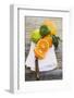 Assorted Citrus Fruit on White Cloth-Foodcollection-Framed Photographic Print