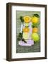 Assorted Citrus Fruit, Whole and Halved-Foodcollection-Framed Photographic Print