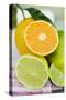 Assorted Citrus Fruit, Whole and Halved-Foodcollection-Stretched Canvas