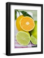 Assorted Citrus Fruit, Whole and Halved-Foodcollection-Framed Photographic Print