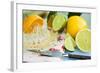 Assorted Citrus Fruit with Citrus Squeezer-Foodcollection-Framed Photographic Print