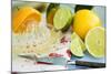 Assorted Citrus Fruit with Citrus Squeezer-Foodcollection-Mounted Photographic Print