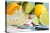 Assorted Citrus Fruit with Citrus Squeezer-Foodcollection-Stretched Canvas