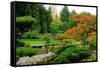 Assorted Colors of the Japanese Garden-neelsky-Framed Stretched Canvas