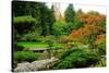 Assorted Colors of the Japanese Garden-neelsky-Stretched Canvas