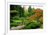 Assorted Colors of the Japanese Garden-neelsky-Framed Premium Photographic Print