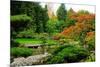 Assorted Colors of the Japanese Garden-neelsky-Mounted Premium Photographic Print